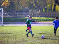 игры 10.05